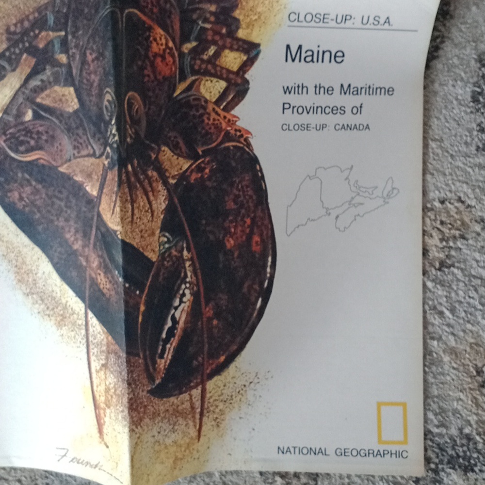 National Geographic Maine Lobster Map - Brown and Black